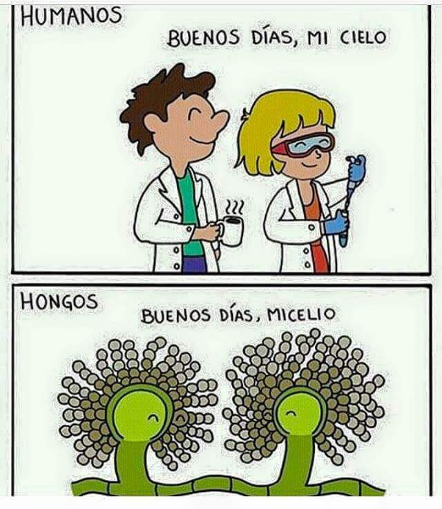 bioloenfurecida's tweet photo. https://t.co/YvunKMlR3d