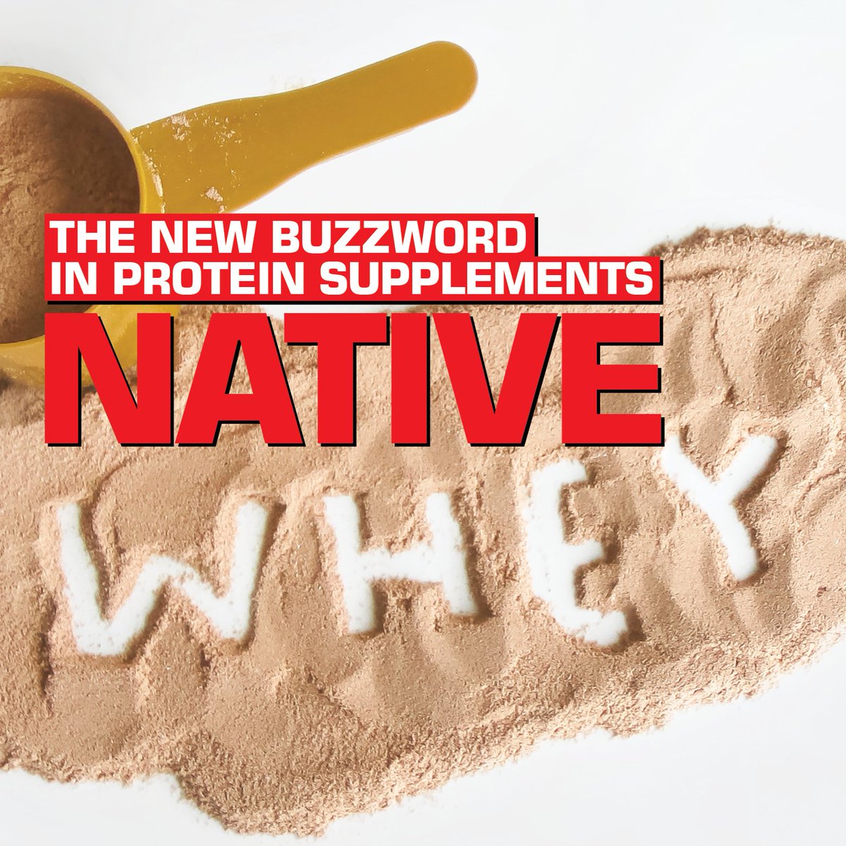 Native Whey is the new buzzword in protein supplements.
But is it just marketing hype, or is there substance to the claims?
Get our Jan/Feb issue for more.