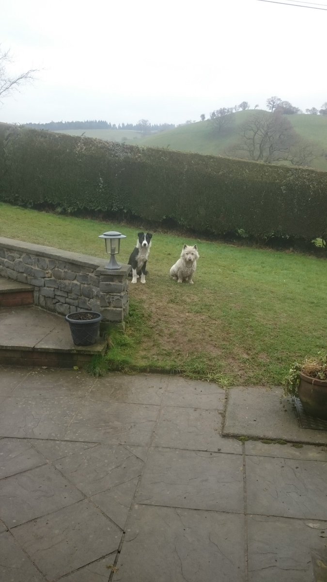 Looking guilty, been up to something naughty