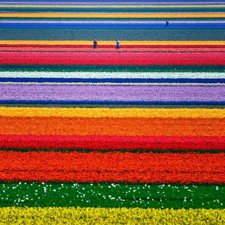 lorenzo7122's tweet photo. Tutti i colori del 🌏 https://t.co/QxEAZo5hSn