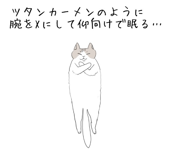 うちのねこです🐈 