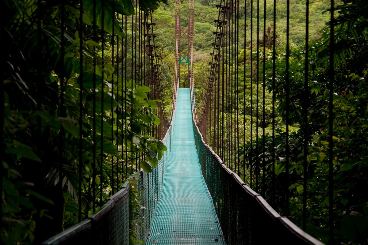 @HappyMagazine tweet media