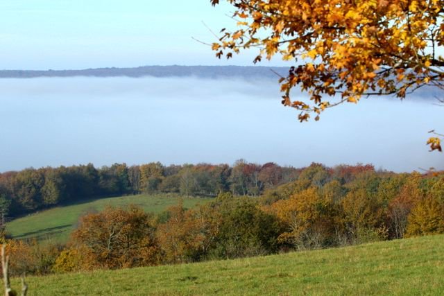 [VIDÉO] La #Bourgogne est à l’honneur dans Des Racines et Des Ailes : rendez-vous sur France 3 mercredi à 20h55 #Nièvre #SaôneetLoire #Yonne france3-regions.francetvinfo.fr/bourgogne-fran…