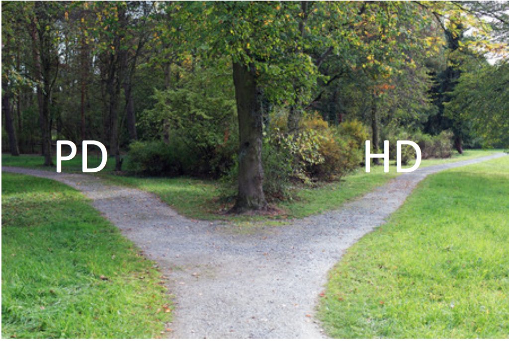 AJKDonline's tweet photo. PD or HD: Which Road Do We Take? “Follow The Yellow Brick Road” by @NephRodby https://t.co/fciyuY2ScK https://t.co/mjT9APAEJd