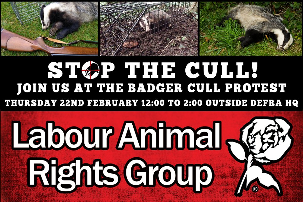 LabourAnimalRG's tweet photo. Join us outside DEFRA HQ for a #StopTheCull protest. 
The government's proposals for 2018 could see many more badgers killed than the last cull which saw over 20,000 slaughtered.
Speakers will include @BadgerTrust CEO @domdyer70 and Tom Langton ecologist. 
https://t.co/TletLKkqSX https://t.co/bbG4CYYzu0