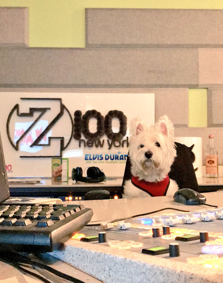 BaldFreakMusic's tweet photo. Back on the air @Z100NewYork 6-10a π§π°πΎ #rovertime https://t.co/C2NOFUNNBD