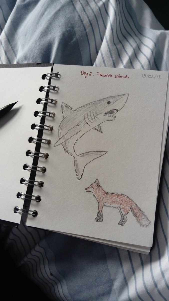 Drawing challenge day 2: favourite animals