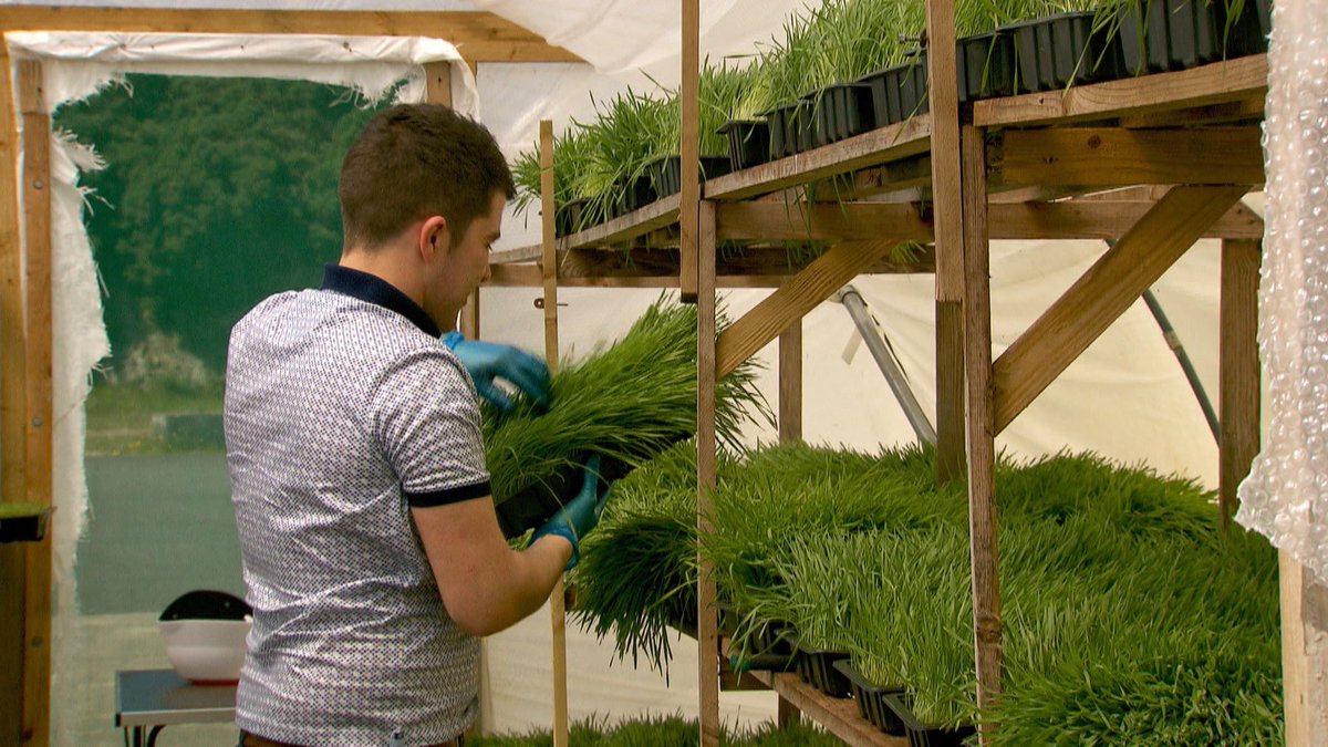 Hear the story of a visually impaired man from Letterkenny who built a business in the spare room of his house <a href="/nat_noot/">Natnoot.ie</a> on #RTENationwide tonight Mon 19th Feb <a href="/RTEOne/">RTÉ One</a> 7pm &amp; RTE+1 8pm <a href="/rte/">RTÉ</a> <a href="/VisitLK/">Visit Letterkenny</a> <a href="/Entirl/">Enterprise Ireland</a> <a href="/lkchamber/">Letterkenny Chamber</a> <a href="/WOLetterkenny/">What's on Letterkenny</a> Pls RT