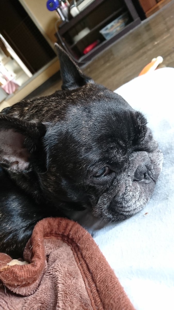 【へいぽー】 PAGEBOY｜プラットチャンキースニーカー | Rakuten Fashion(楽天