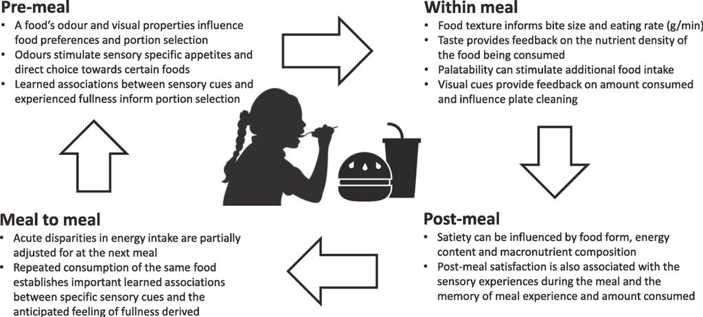 fordeycee's tweet photo. New paper from our team in Singapore on how Sensory properties can be used to influence food choice and energy intake; “from perception to ingestion” (free access below)

https://t.co/KpMuM3fH9B https://t.co/2czzVC5HzU