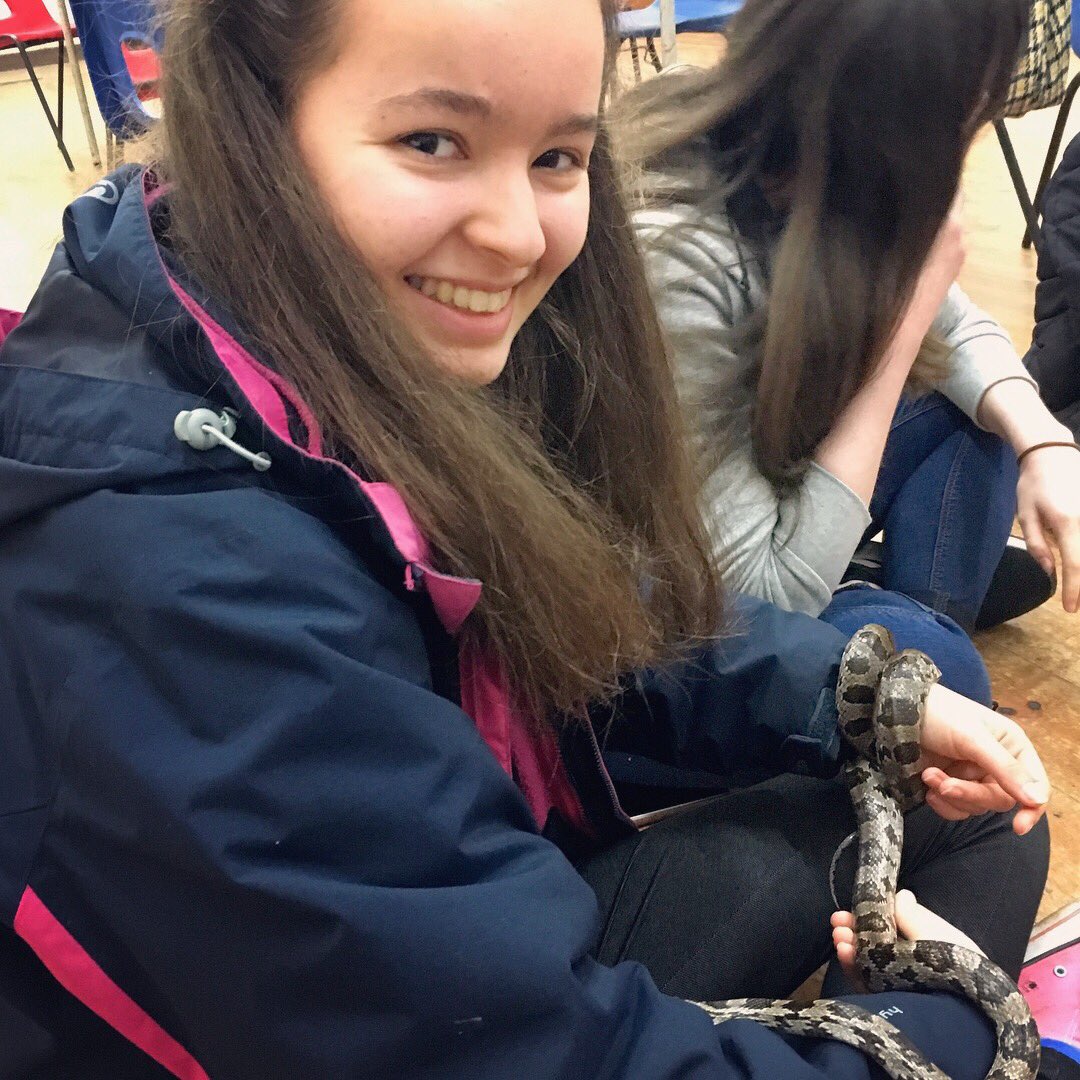 FXU_GenWild's tweet photo. Our colab with Herpsoc visiting the guides! 🦎🐍🌱 @FxuVolunteering  @UniExeCornwall https://t.co/vDJNP4HUz7