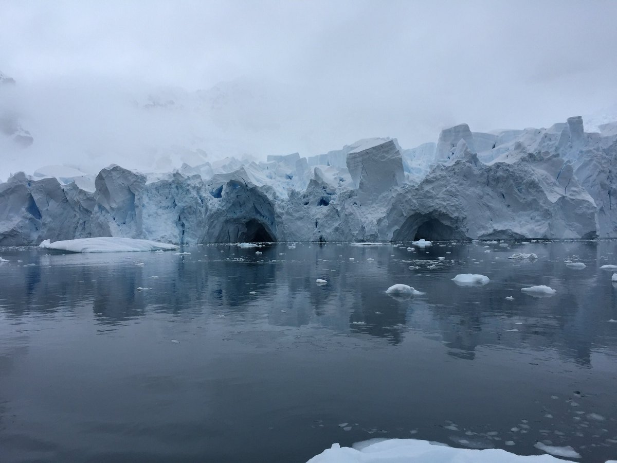 TxIcebreakers's tweet image. This is where the glacier meets the sea in Paradise Bay. I think this looks like where Elsa from the movie Frozen might have lived.