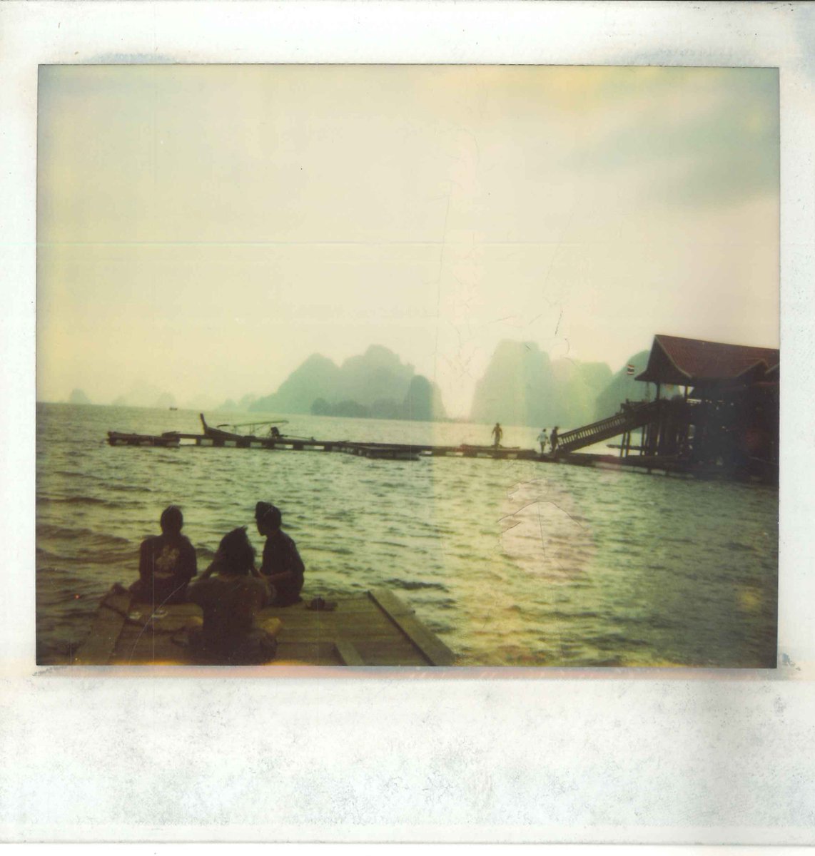 Criterion's tweet photo. Morning light, courtesy of Apichatpong Weerasethakul's polaroids: https://t.co/vi9BRN3k4X