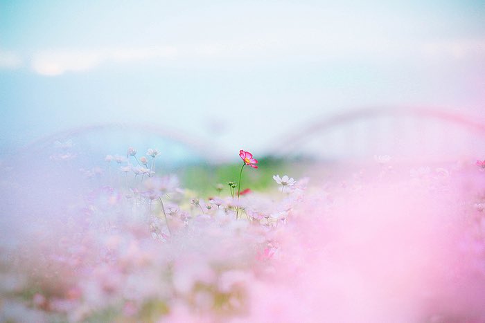 e_co_cam's tweet photo. 肩の力をぬいて
ふわっと生きていけばいい

#coregraphy https://t.co/JZyqHYTYvZ