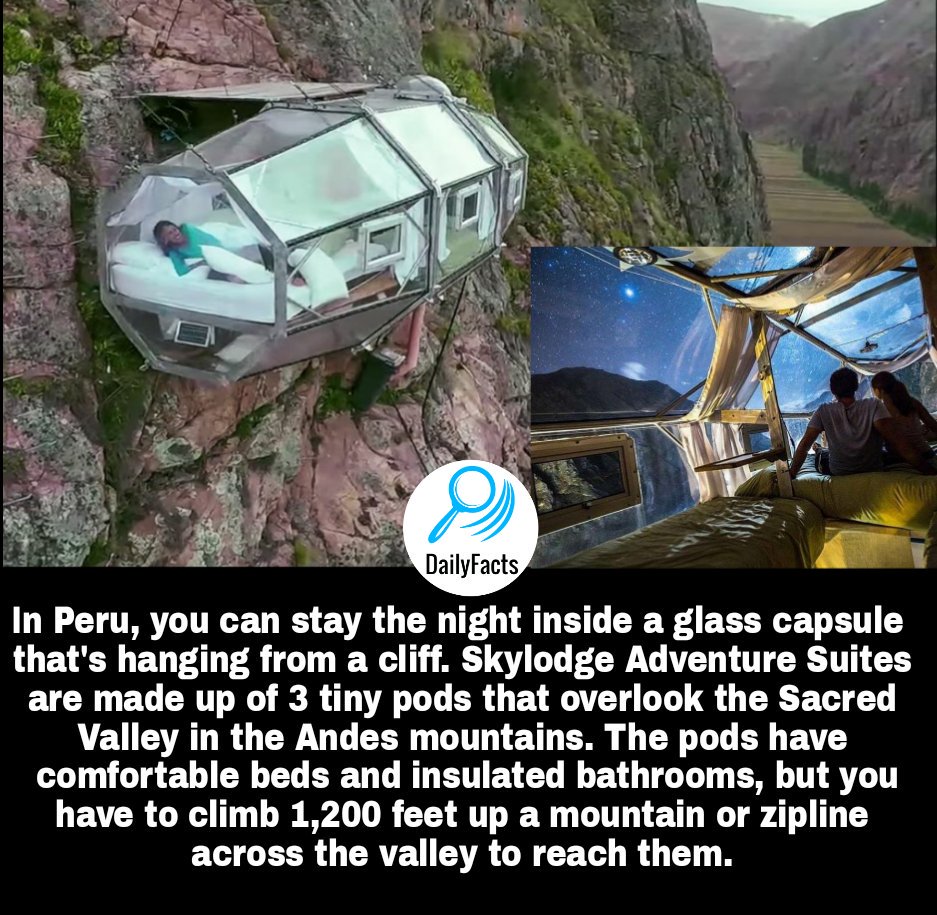 NowYouKnowDaily's tweet image. 