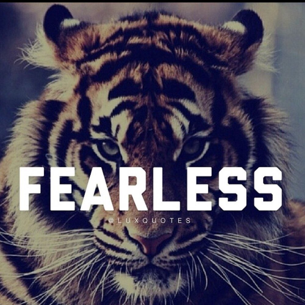 JaredFoster's tweet image. How to start your Monday!