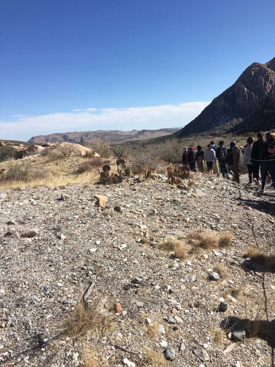 Danielle Heintz tweet media