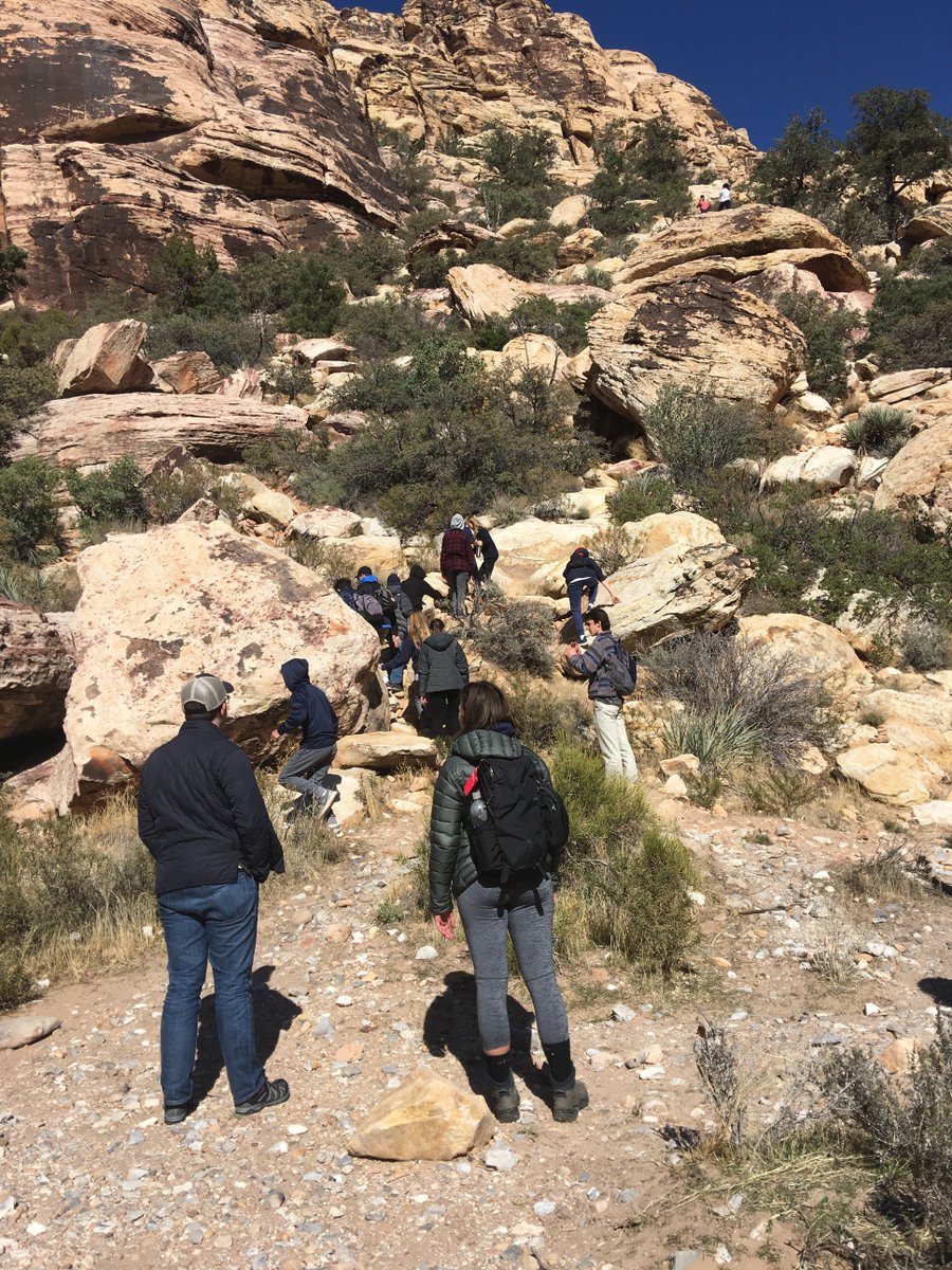 Danielle Heintz tweet media