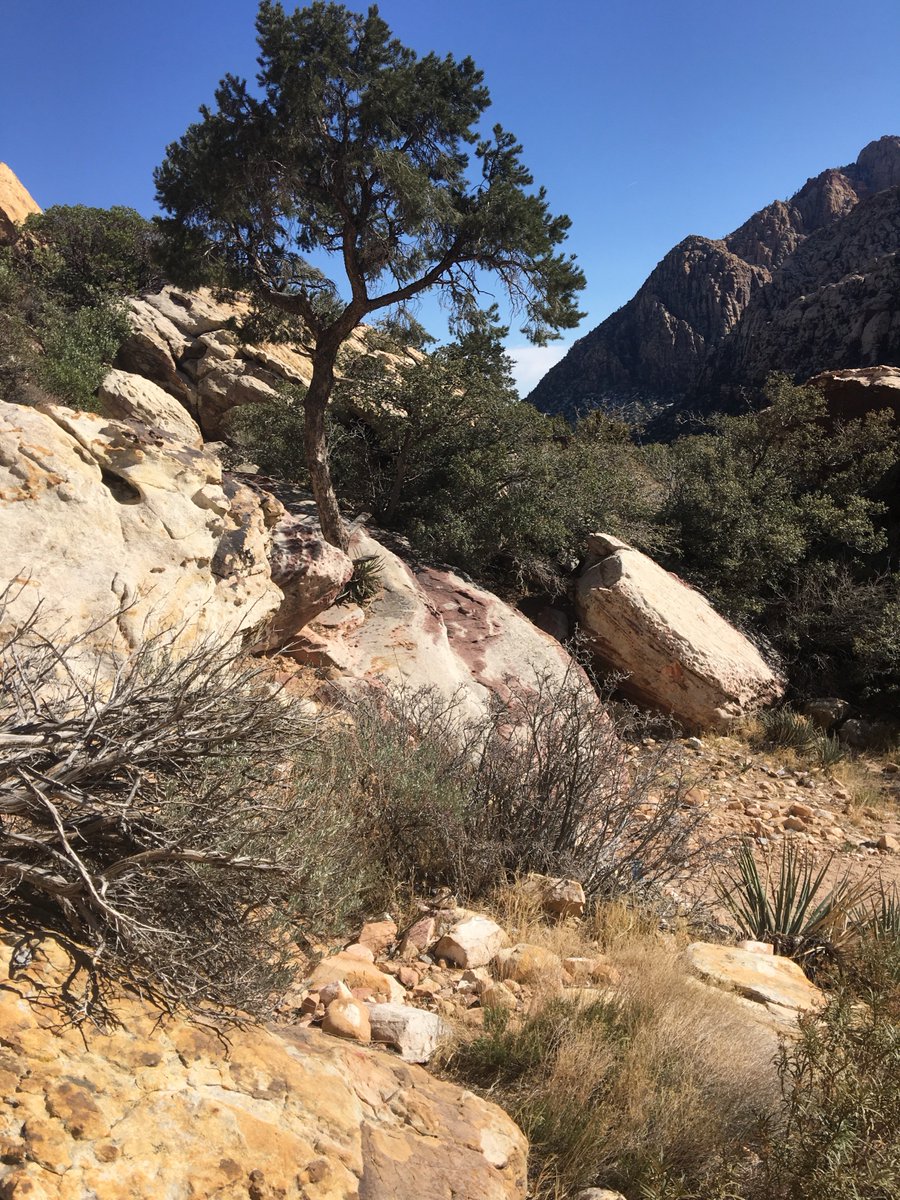 Danielle Heintz tweet media