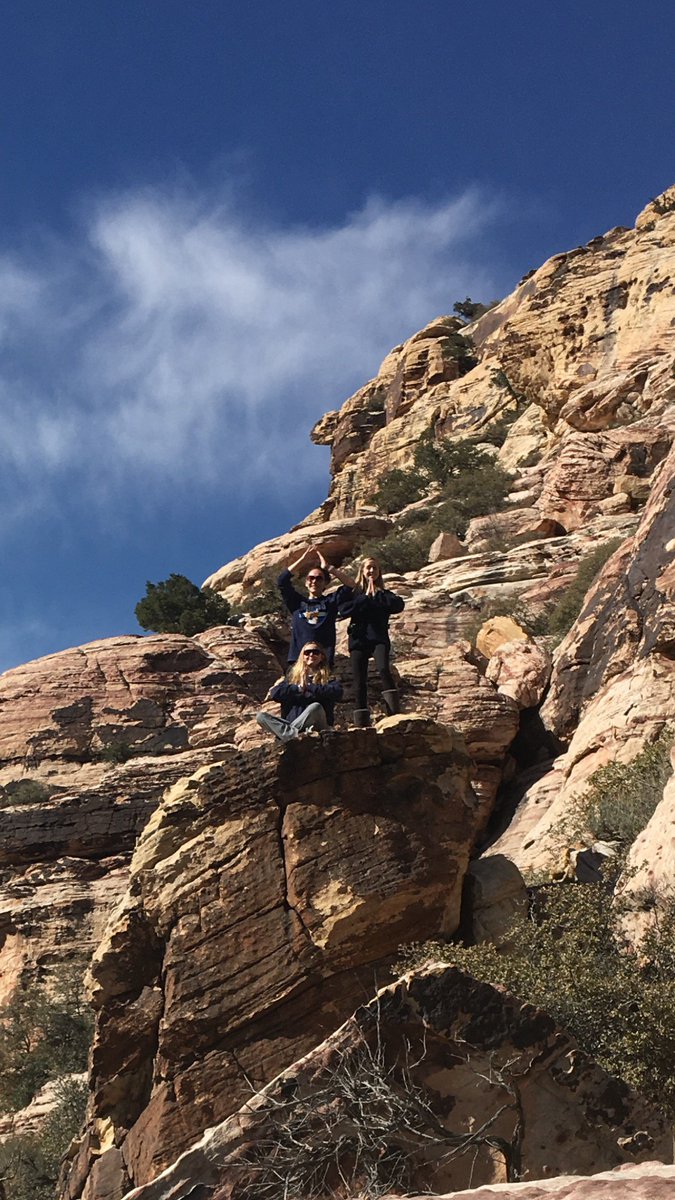 Danielle Heintz tweet media