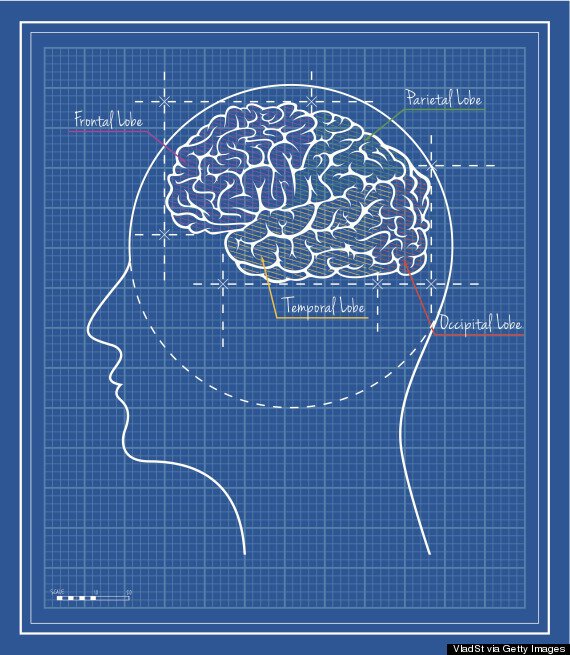 The “visual centers” in your brain are actually located at the lower back part of your head. That's why if you were to fall on the back of your head you could temporaily go blind.