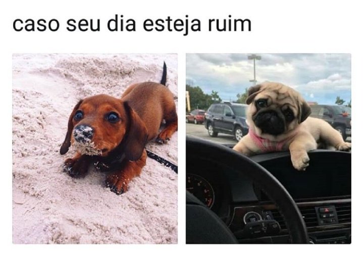 itscobban's tweet image. #SubscribeLoop