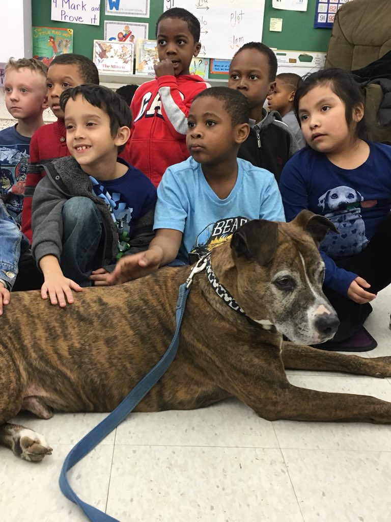 JessWilliamsPLV's tweet photo. So much fun having Tyson the Rescue Pup come visit today! @bubeckjg #plvbear #polarpride https://t.co/BnqPYV3xgO
