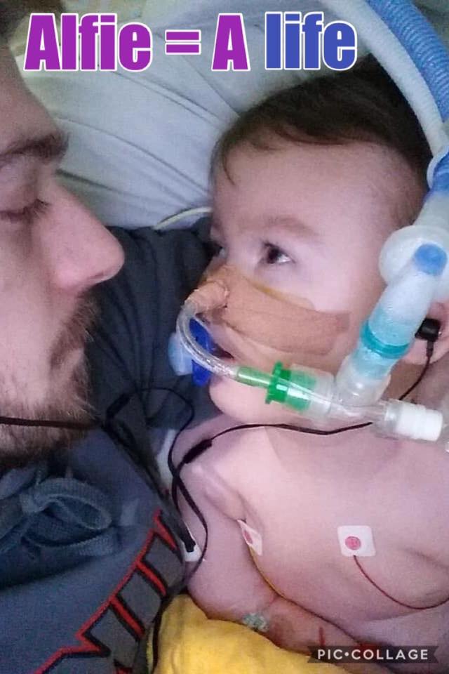 Alfiesarmy16's tweet photo. Alfie = A life... like other admin I have seen just how aware and responsive Alfie is as we have been by his bedside. This beautiful little baby is very much aware of you being there and he responds to you. Let see those blue and purple hearts showing love&amp;support for Alfie xx https://t.co/Hye2rz8NTZ