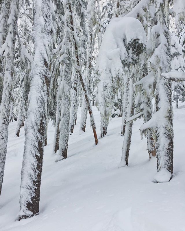 Ski day. #stevenspass ift.tt/2EVlImf
