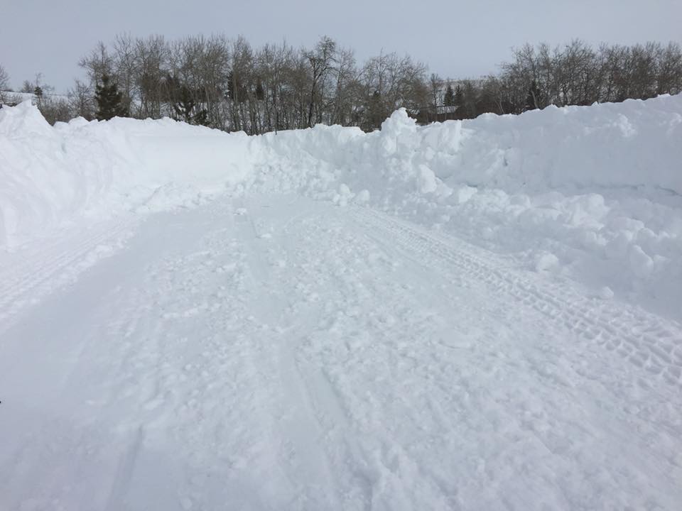 GaryRobson's tweet image. Even the snowplow got stuck trying to plow my road this morning. I shoveled out the back fence so the dog can't hop over it. Now for some hot tea.