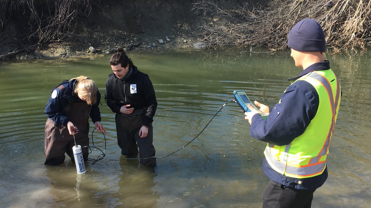 WWFCanada's tweet photo. Where does road salt go? Usually in our lakes &amp; rivers. Today we found this Mississauga creek had at least 20x the chloride levels that is safe for aquatic life. #StopWildlifeLoss https://t.co/XDVD5LNXJt