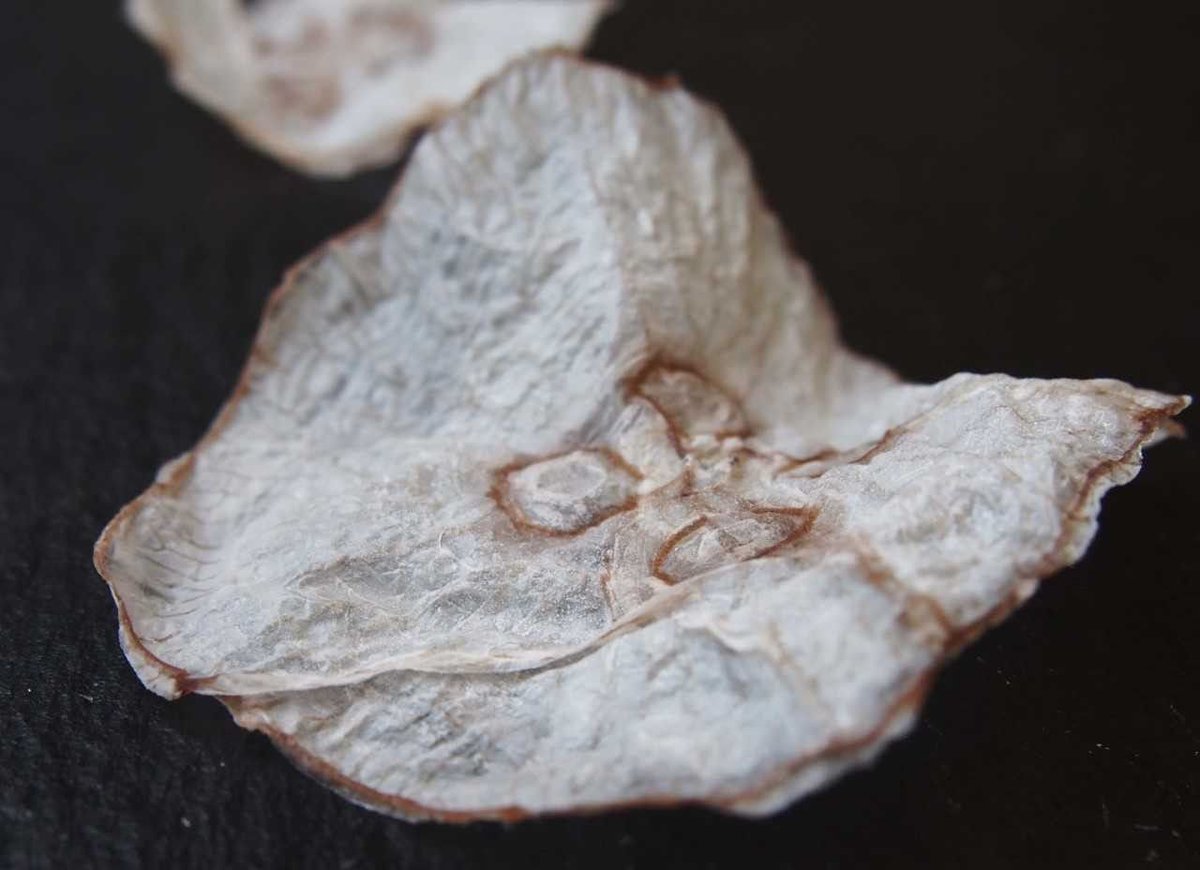 These chips are made from jellyfish wef.ch/2FA2Ia4 #food