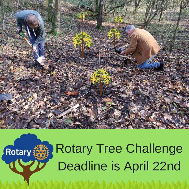 RTrailblazers's tweet photo. 🌳Rotary Tree Challenge🌳

@Rotary President Ian Riseley set a challenge last year for every Club to plant a tree for each of its members  by #EarthDay on 22nd April 2018.

We have planted ours, have you?
#Manchester #Trailblazers https://t.co/3sp9miwhXr