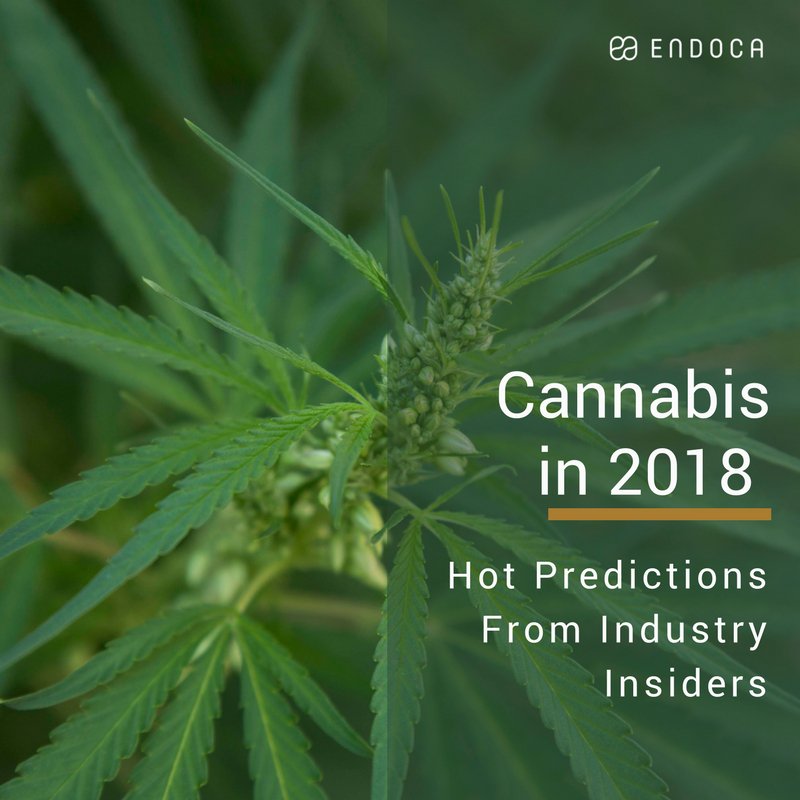 What does 2018 hold in store for #cannabis around the world? Our content writer Mary Biles spoke to some #cannabusiness insiders, scientists and activists to find out - read about her findings here: bit.ly/2DT8yVj