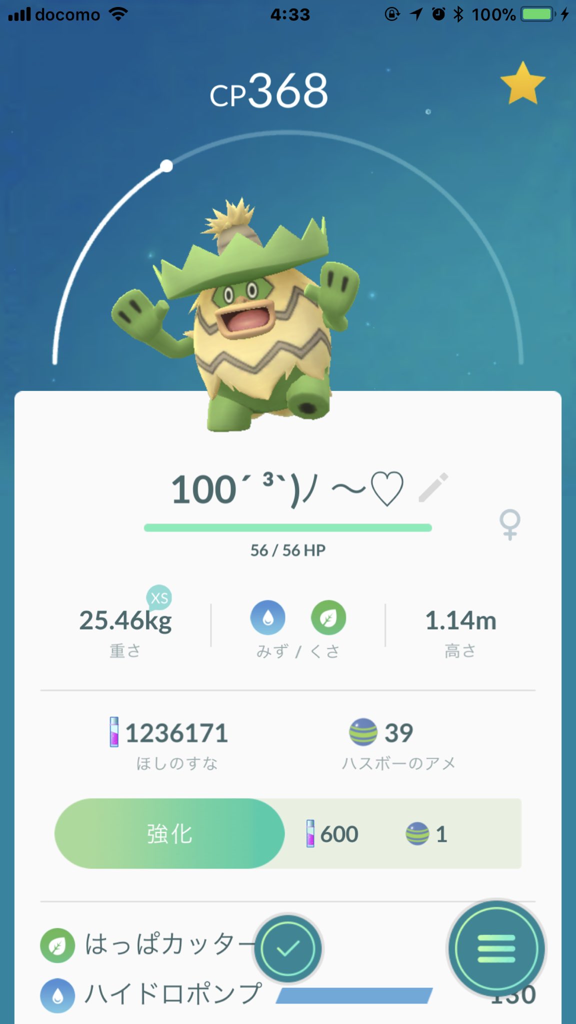 Anelamakana Pa Twitter ハスボー100 可愛いルンパッパに ﾉ いつもポケ活感謝 ㅅ ポケモンgo T Co Wboz2e9jei Twitter