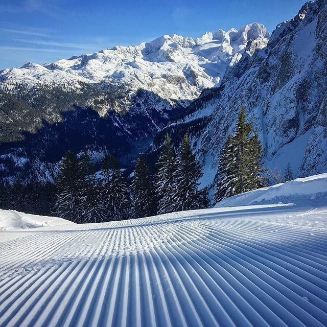 PeterZboncak's tweet photo. Fresh Track #dachstein #dachsteinwest #slovakphotographer #mydachsteinmoment #dachsteingletscher #berg #austria #visitaustria #österreich #austriatoday #mountains #europe #trip #skiing #snowland #snow #winter #winterwonderland #schnee #piste https://t.co/JIulDRF8zf