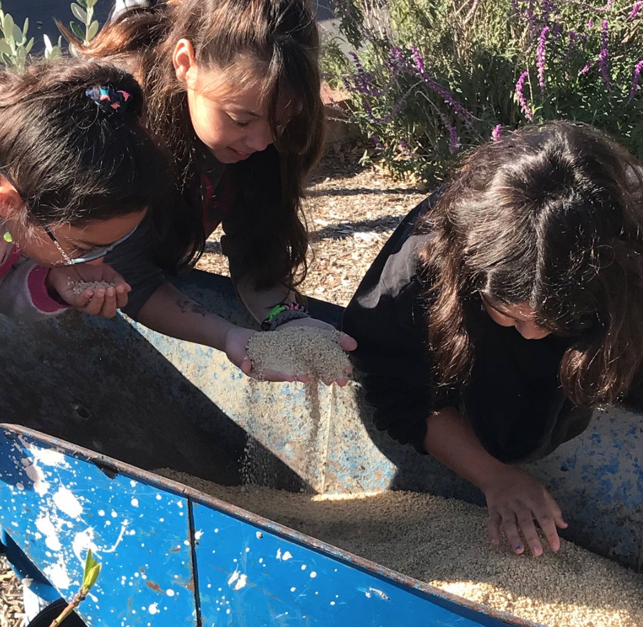 Common_Vision_'s tweet photo. Talk about girl power! The Flower Power Club at Laurel School worked alongside us in their 1 year old orchard to paint + fertilize the trees, + learned about what the trees will need in the future so they can keep caring for them. 🌸💪🌸 #CommonVision #GiveBack #LaurelLeopards https://t.co/SygdM3li3O