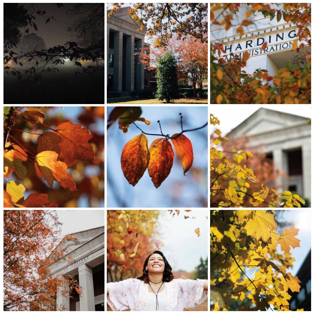 HardingU's tweet photo. The best images from our fall photo contest, #fallatharding, are featured in the new magazine. See the winners here: https://t.co/OmezMnuJ86. https://t.co/GmMGqhhLmN