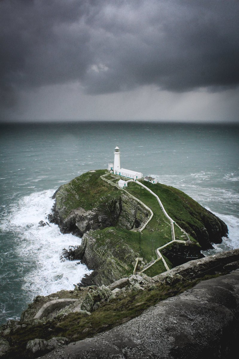 Joshua Harvey tweet media