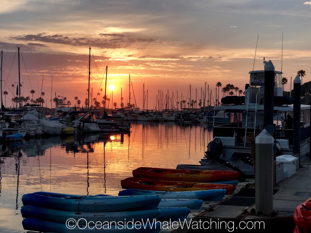 OceansideWhales's tweet image. Join us for some #winetime on Saturday March 3rd , our wine harbor cruise is the #bestofsd #beachhousewinery try it
