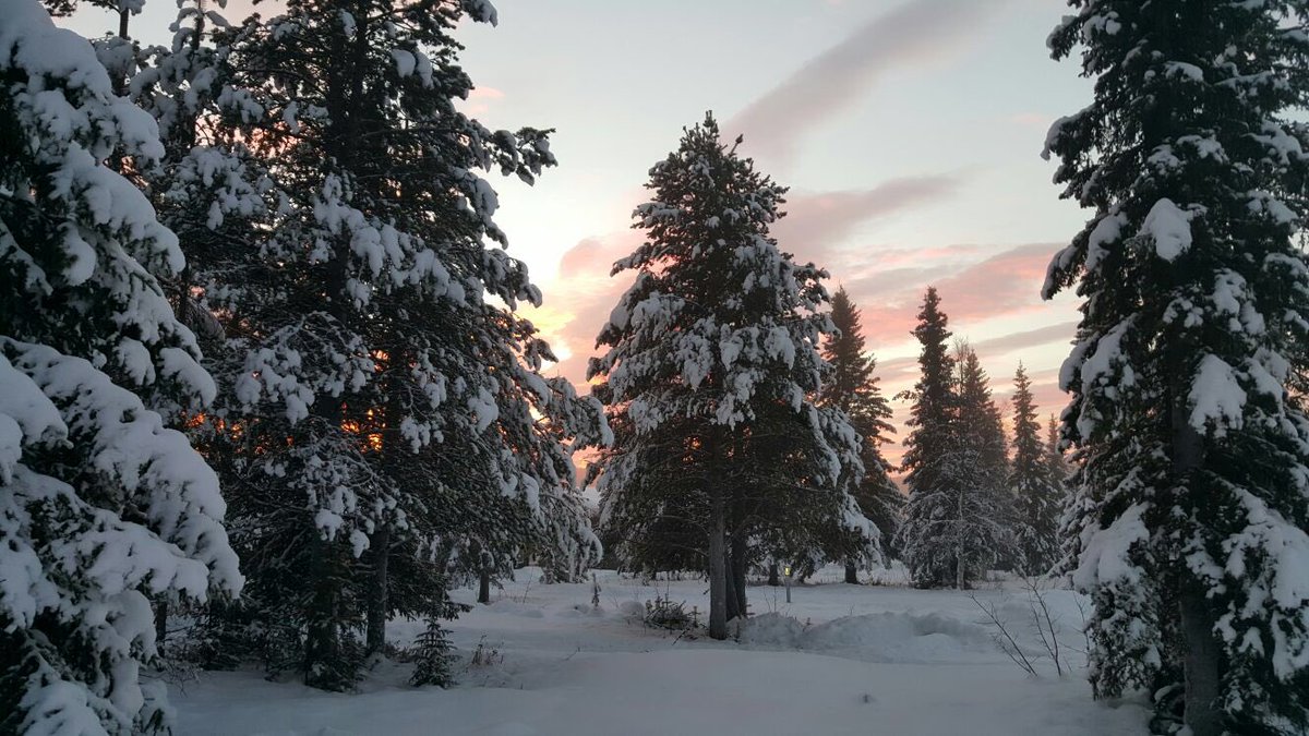 MadreOnAMission's tweet photo. Swedish Lapland, cold beautiful silent scenery , fiery sunsets,
awesome shimmering rolling Northern lights in vibrant shades of Emerald green, vivid and beautiful enough to take your breath away. Bucketlist #forkerryann โค๏ธ@ICEHOTEL_Sweden https://t.co/Mfo8ywYajw