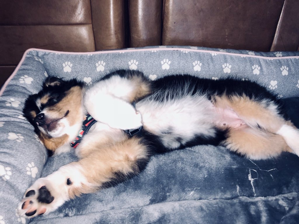hailey_oneill's tweet photo. Mood on this fine Monday: https://t.co/OkSkGlQRd3