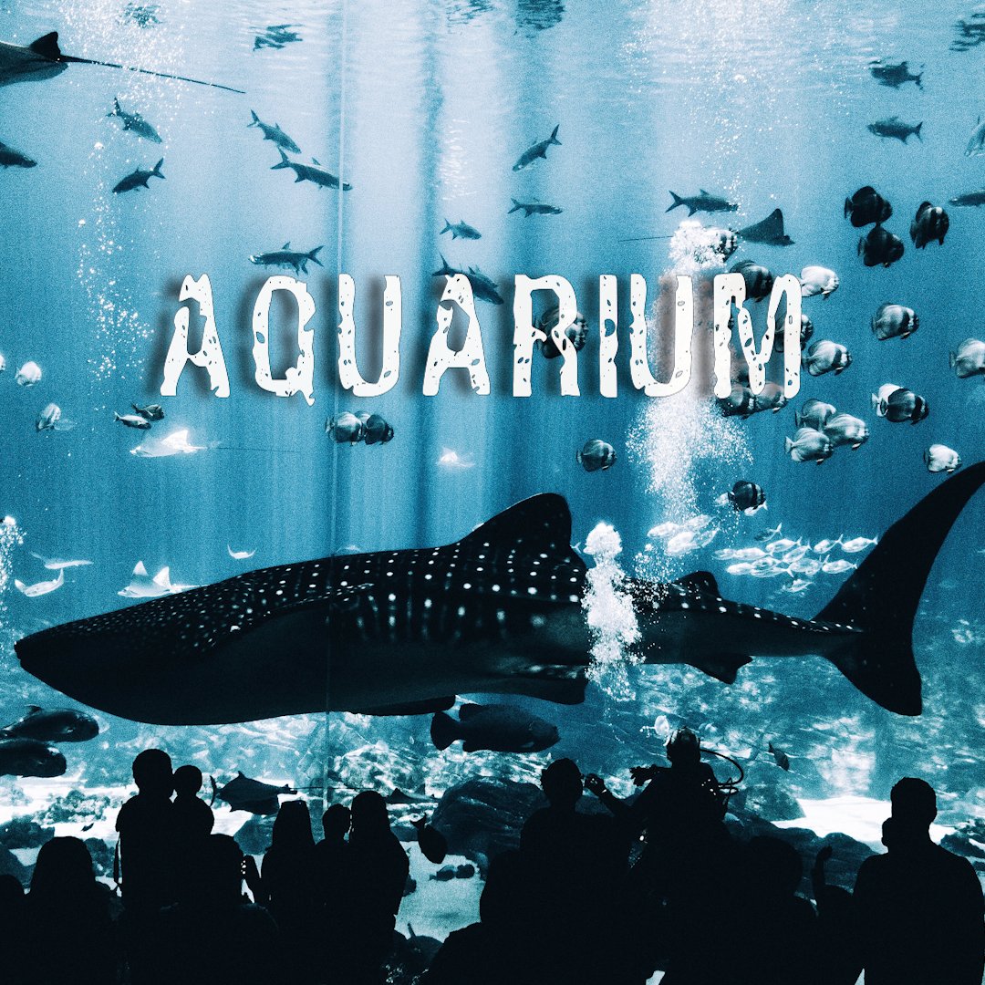 TinyLakeNeat's tweet photo. Can't get to this awesome place today? WEBCAM instead - Beluga, Puffin, Otter, BABY ZEBRA SHARK PUPS, and more!!!!! Today's #PostForAPark is for @GeorgiaAquarium in #Altanta #Georgia - 10 million gallons filled with education and fun! #travel #tourism #digitalmarketing https://t.co/pcCcW4jccC