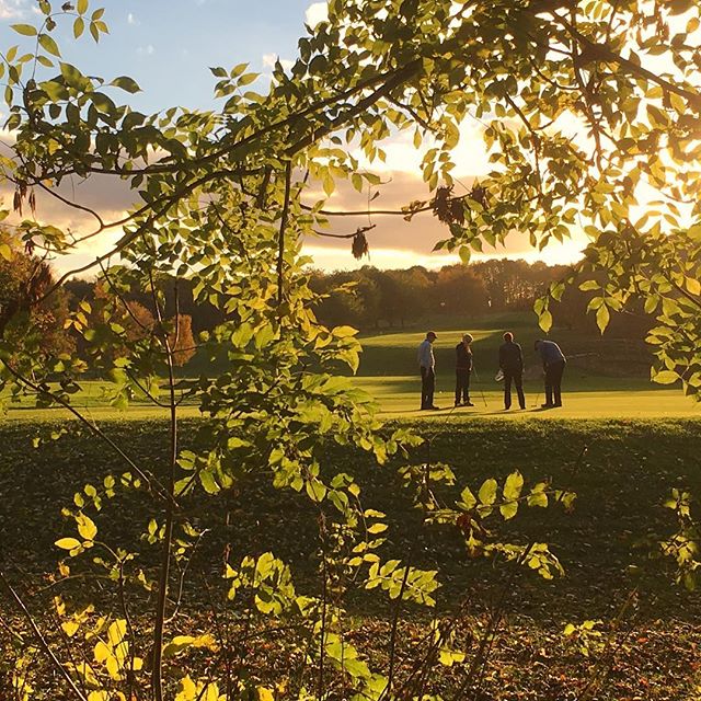 Play2Support's tweet photo. Set in over 200 acres of serene parkland Romanby 18 hole championship standard golf course follows the meandering route of the River Wiske. The natural landscape lays out a challenging but rewarding experience for all golfers. https://t.co/NmGs9tZXZC