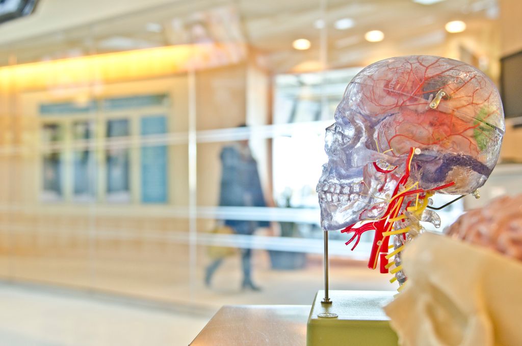 CusWriting's tweet image. How To Learn: 6 Surefire Tricks to Train Your Brain 

#howtolearn #trainyourbrain
buff.ly/2ERRPiA
