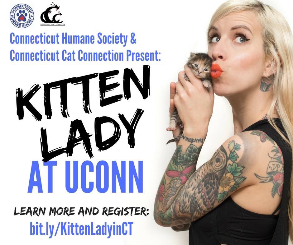 CTCatConnection's tweet image. @kittenxlady is coming to Uconn! Get all the info and fix here: bit.ly/KittenLadyinCT  #Connecticut #UConn #CatsOfTwitter #savelives #kittenlady