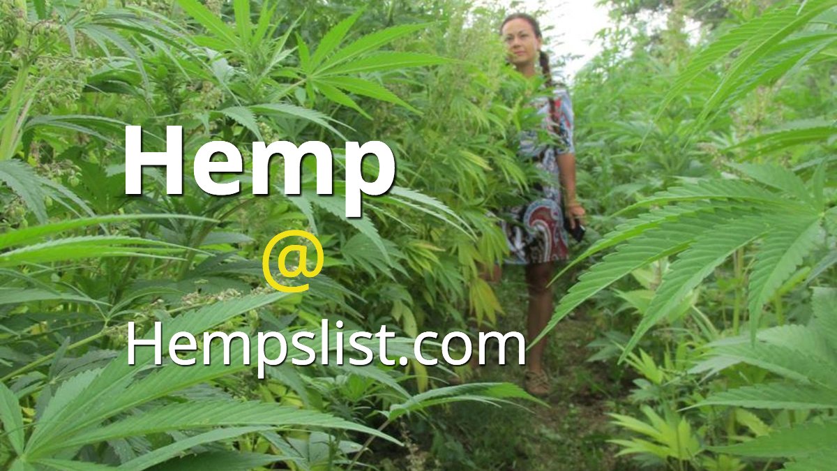 GrowHempCo's tweet photo. Please visit #hempslist  https://t.co/EXfCVTaji5 for all your #CBD #viableseeds &amp; #Hemp products. List yours today! #hempoil #cannabis https://t.co/avgjalGxI4