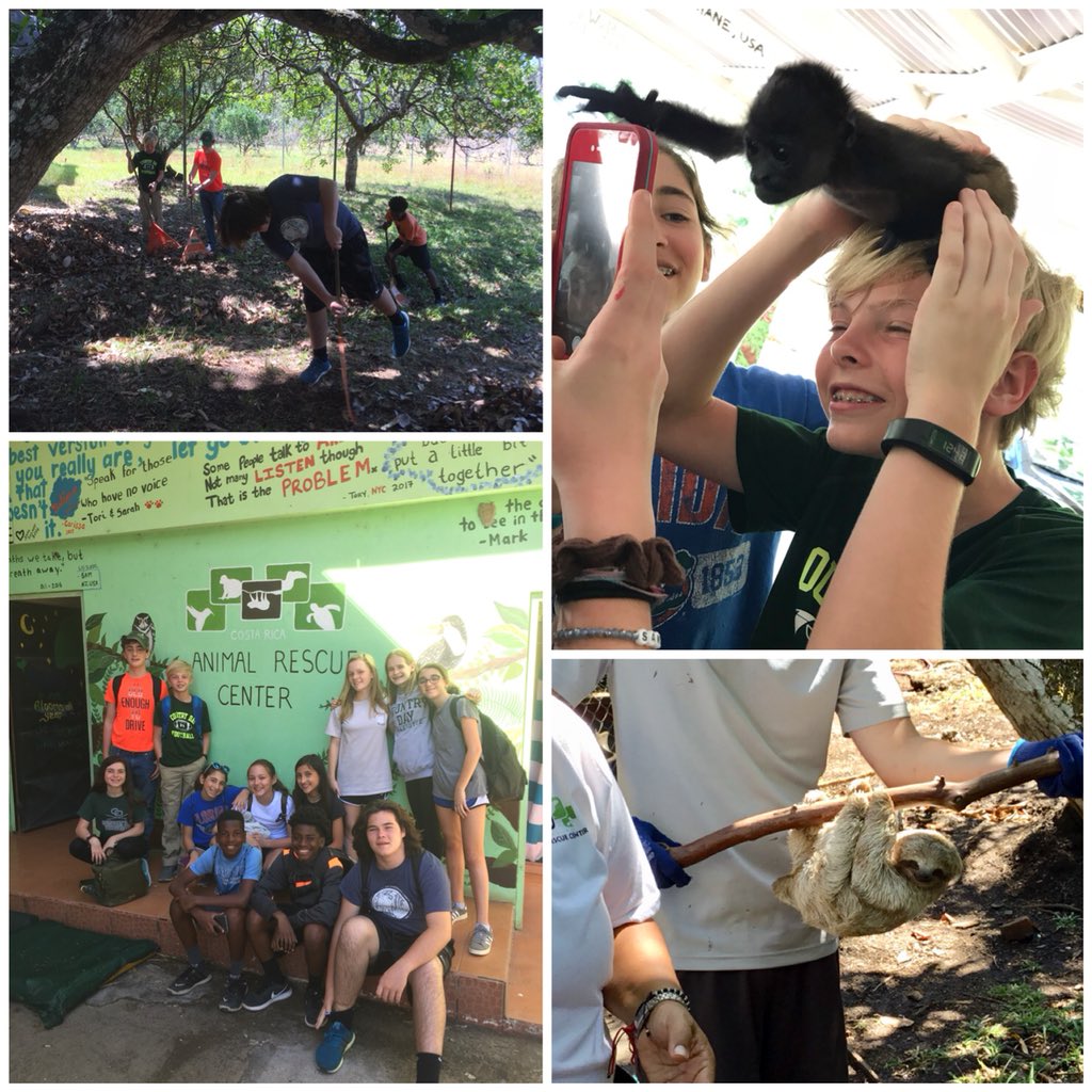 skeilty's tweet photo. #CountryDayReady 7th grade #CostaRica 🇨🇷 ambassador 🇺🇸 community &amp; environmental service at the #CRAnimalRescueCenter @ccdsnews @CCDS_Global @NCAIS @bvschools @NCAIS https://t.co/Bvhywk20nc