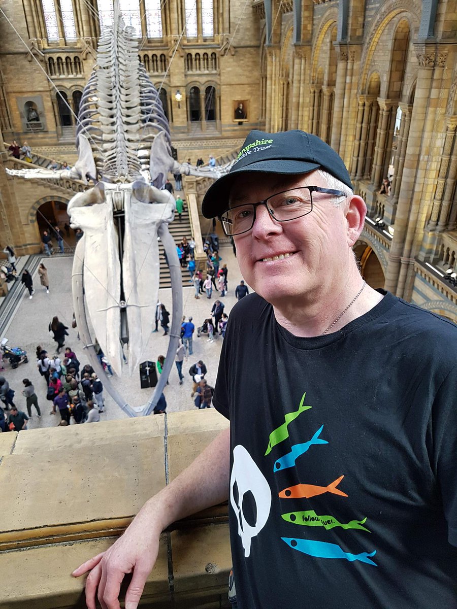 Skull_Bloke's tweet photo. @NHM_Digitise @NHM_IAC Yessss! I am unfeasibly pleased with myself! #Reputationatstake https://t.co/ZUvrPbim4c