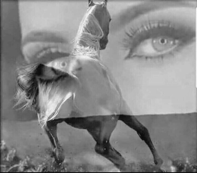 يا الغايب الحاضر بقلبي و لا القاك
أقرب من عروقي و صعب منالك

شالك زماني عن عيوني و وداك
لا شك وثق في ضلوعي حبالك
 
يا حاجب شمسي ورا ليل جفواك
ما بالعهد بك قاسي في دلالك
